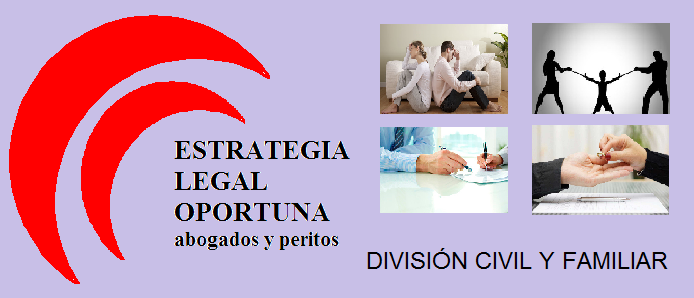 Derecho Civil y Familiar